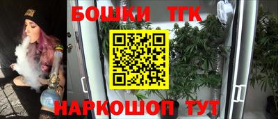 МДПВ Новодвинск