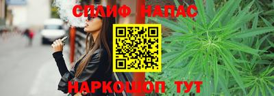МДПВ Новодвинск