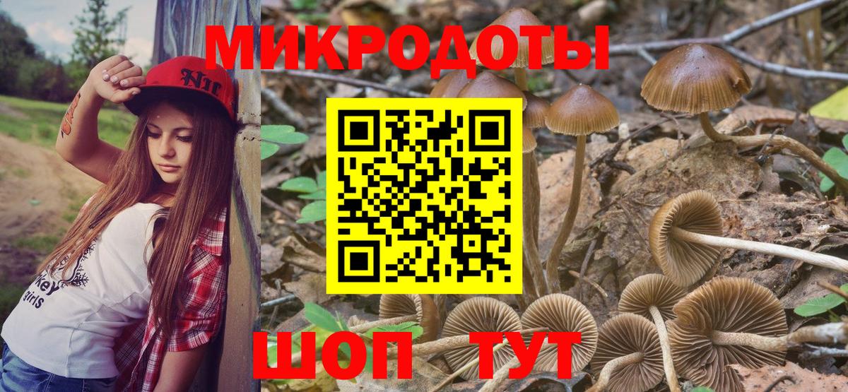 Псилоцибиновые грибы ЛСД  Галлюциногенные грибы MAGIC MUSHROOMS  Татарск  Вход с VPN 