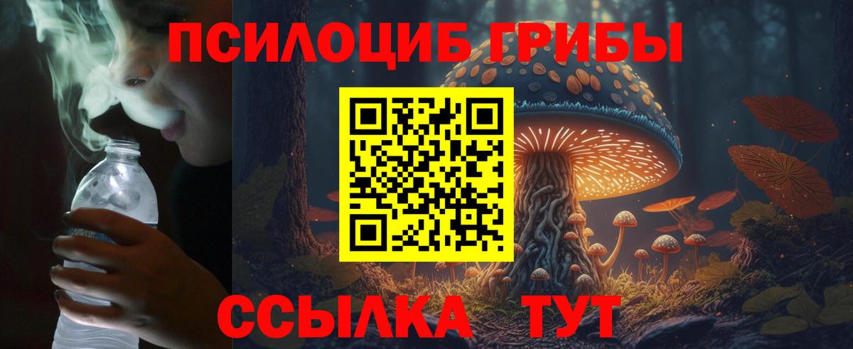 Галлюциногенные грибы прущие грибы Татарск